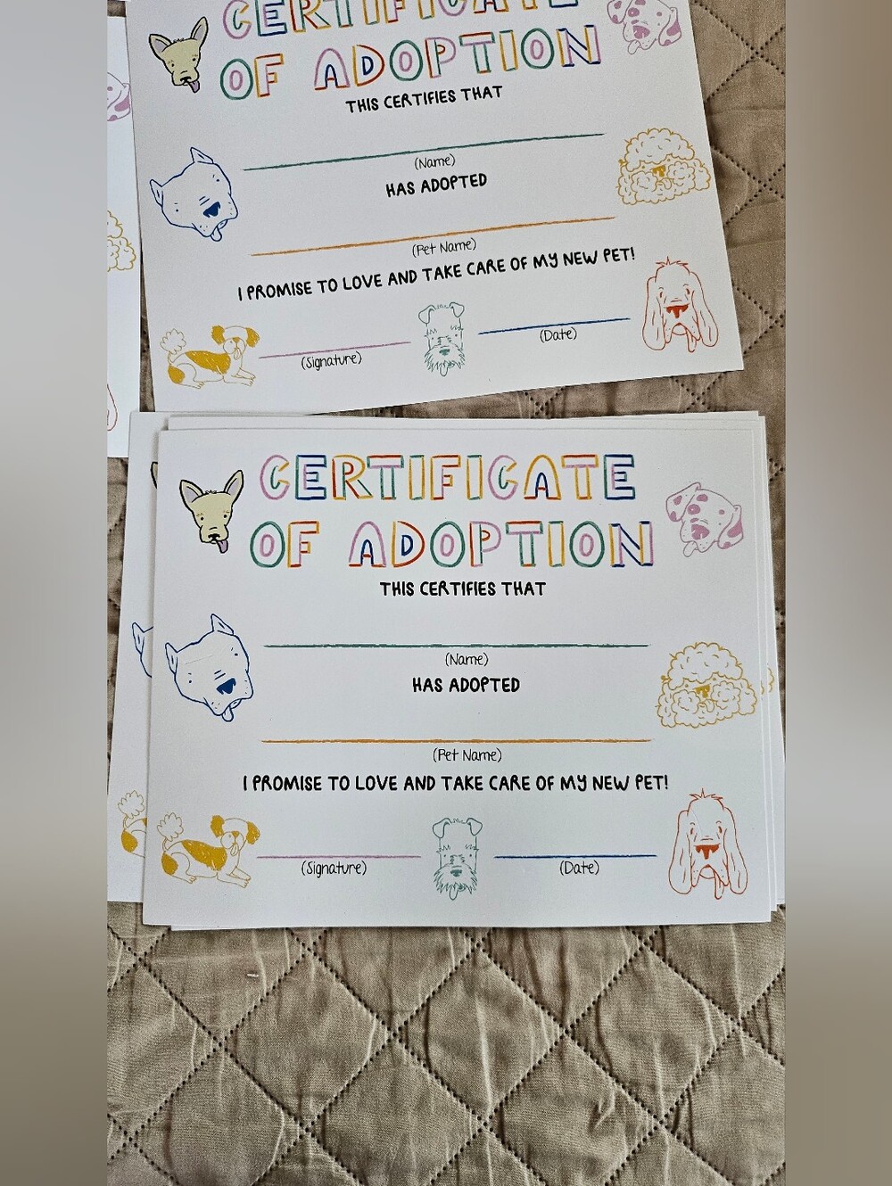 Kids party certificates 10 sheets. Great party idea